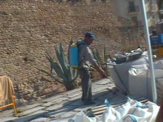 HERBICIDA 01  ECOLOGIA